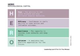 HERO - Psychological Capital by Fred Luthans