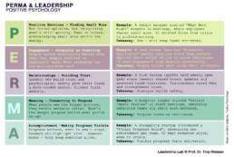 PERMA Model Positive Psychology