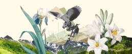 Prof. Dr. Tina Weisser Collage & Artwork Mountain Flower